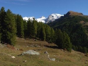 Pascoli di Nannaz e il Polluce lungo l'Altavia1 (Ayas) - Foto di Gian Mario Navillod.